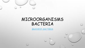 MICROORGANISMS BACTERIA BRAINPOP BACTERIA CHARACTERISTIC OF BACTERIA SMALL