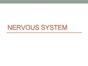 NERVOUS SYSTEM Functions of the nervous system Receives
