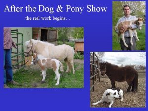 After the Dog Pony Show the real work