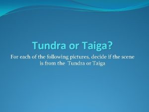 Tundra or Taiga For each of the following