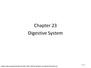 Chapter 23 Digestive System Elsevier items and derived