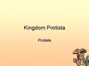 Kingdom Protista Protists Kingdom Protista The kingdom Protista