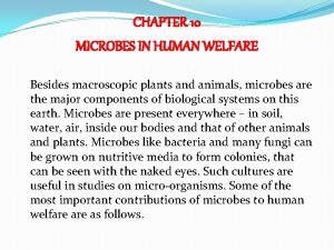 CHAPTER 10 MICROBES IN HUMAN WELFARE Besides macroscopic