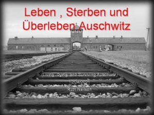 Leben Sterben und berleben Auschwitz Living Dying and