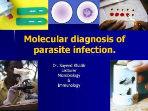 Molecular diagnosis of parasite infection Dr Sayeed Khatib