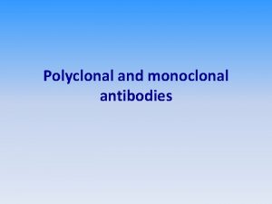 Polyclonal and monoclonal antibodies Polyclonal antibodies PAbs are