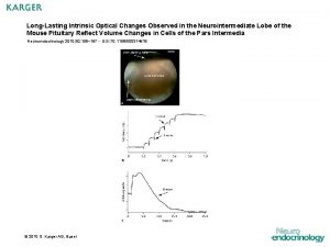 LongLasting Intrinsic Optical Changes Observed in the Neurointermediate