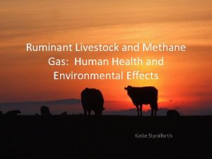 Ruminant Livestock and Methane Gas Human Health and