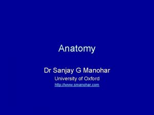 Anatomy Dr Sanjay G Manohar University of Oxford