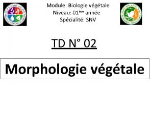 Module Biologie vgtale Niveau 01re anne Spcialit SNV