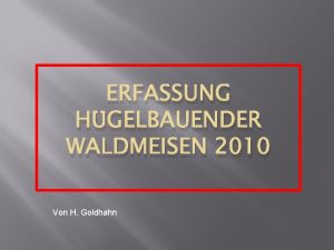ERFASSUNG HGELBAUENDER WALDMEISEN 2010 Von H Goldhahn 1