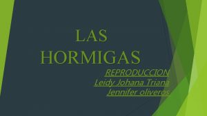 LAS HORMIGAS REPRODUCCION Leidy Johana Triana Jennifer oliveros