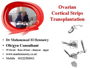 Ovarian Cortical Strips Transplantation Dr Muhammad El Hennawy