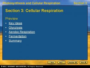 Photosynthesis and Cellular Respiration Section 3 Cellular Respiration