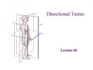 Directional Terms Lecture 02 Anatomical Directions Body Location