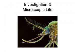 Investigation 3 Microscopic Life Similarities and Differences On
