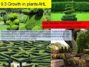 9 3 Growth in plants AHL Essential idea