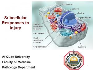 Subcellular Responses to Injury AlQuds University Faculty of