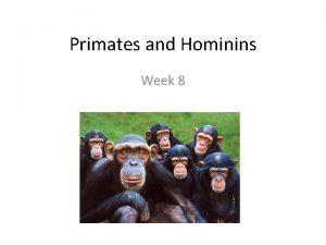 Primates and Hominins Week 8 Whats a primate