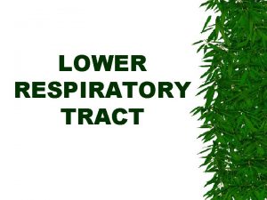 LOWER RESPIRATORY TRACT LOWER RES TRACT Is the
