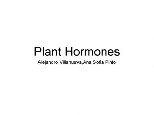 Plant Hormones Alejandro Villanueva Ana Sofia Pinto Plant