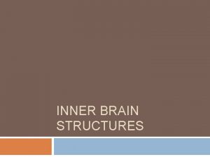 INNER BRAIN STRUCTURES Cerebellum Functions coordination balance Brainstem