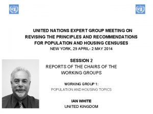 UNITED NATIONS EXPERT GROUP MEETING ON REVISING THE