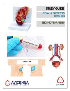 STUDY GUIDE RENAL EXCRETORY MODULEI SECONDYEARMBBS Renal Colic