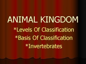 ANIMAL KINGDOM Levels Of Classification Basis Of Classification