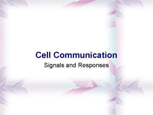 Cell Communication Signals and Responses Simple Communication Stimulatory