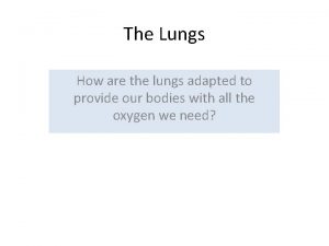 The Lungs How are the lungs adapted to