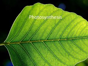 Photosynthesis What is photosynthesis Conversion of light energy