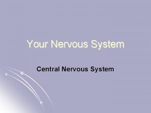 Your Nervous System Central Nervous System Explain CNS
