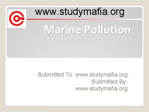 www studymafia org Marine Pollution Submitted To www