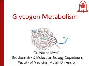 Glycogen Metabolism Dr Nesrin Mwafi Biochemistry Molecular Biology