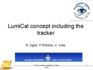 Lumi Cal concept including the tracker R Ingbir