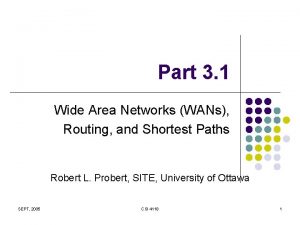 Part 3 1 Wide Area Networks WANs Routing