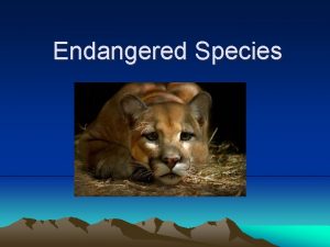 Endangered Species Endangered Species any plant or animal