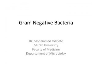 Gram Negative Bacteria Dr Mohammad Odibate Mutah University