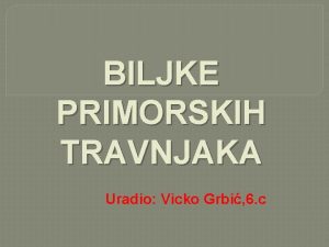 BILJKE PRIMORSKIH TRAVNJAKA Uradio Vicko Grbi 6 c