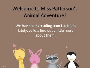 Welcome to Miss Pattersons Animal Adventure We have