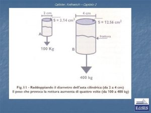 Callister Rethwisch Capitolo 2 Callister Rethwisch Capitolo 2