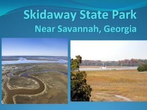 Skidaway State Park Near Savannah Georgia Aquatic BiomesEstuaries