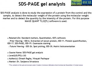 SDSPAGE gel analysis SDSPAGE analysis is done to