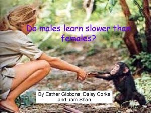 Do males learn slower than females By Esther