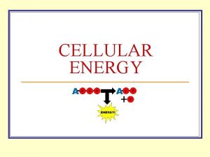 CELLULAR ENERGY All Cells Need Energy n Cells