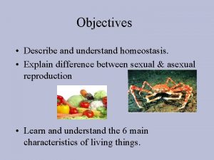 Objectives Describe and understand homeostasis Explain difference between