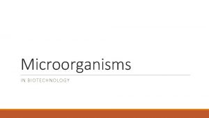 Microorganisms IN BIOTECHNOLOGY Microorganisms history Throughout history man