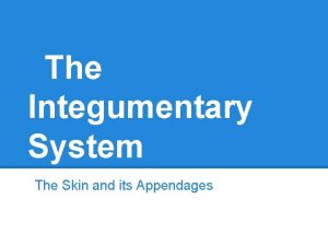 The Integumentary System The Skin and its Appendages