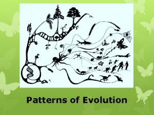 Patterns of Evolution Types of Evolution Speciation illustrates